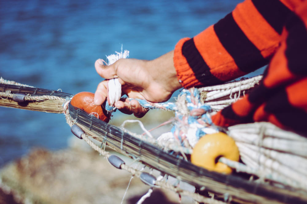 Actividades en Pesca con Artes de Enmalle y Marisqueo y en Transporte Marítimo