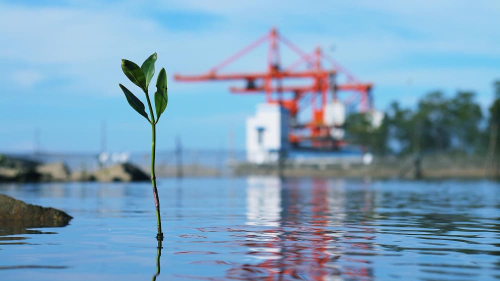 Sensibilización Medio Ambiental. Industria Auxiliar Sector Naval